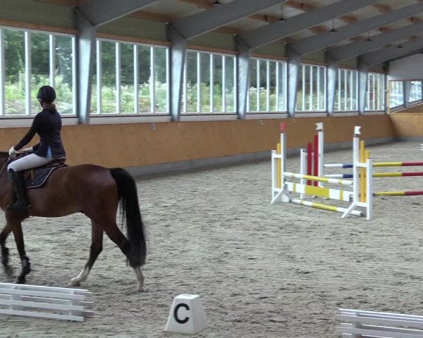 Reitturnier Münster-Amelsbüren 2021