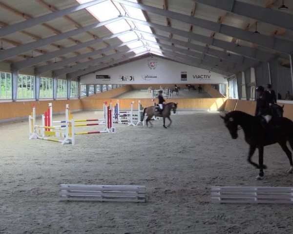 Reitturnier Münster-Amelsbüren 2021