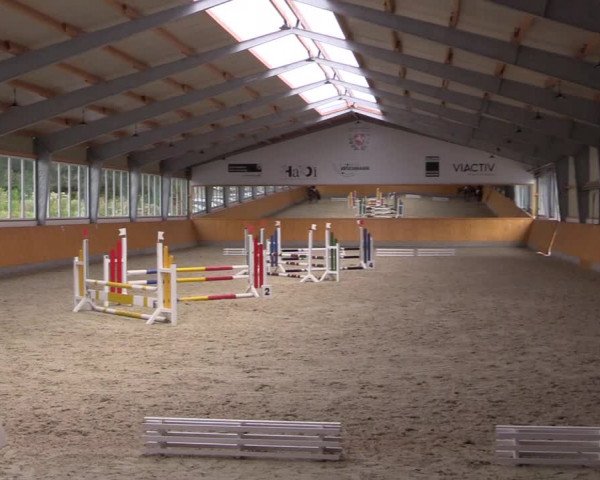 Reitturnier Münster-Amelsbüren 2021