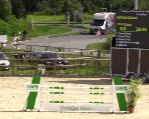 Reitturnier Münster-Amelsbüren 2021