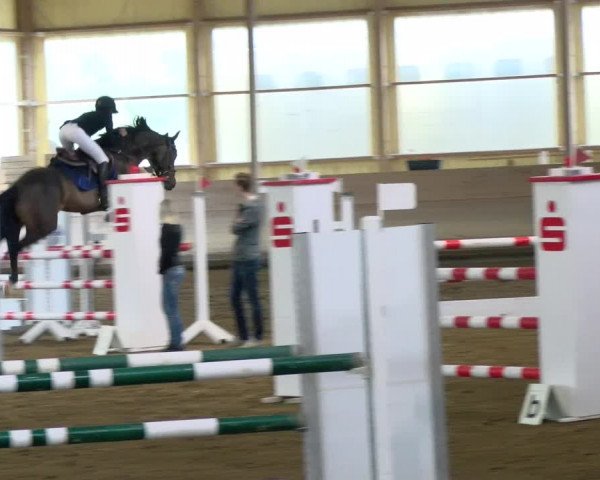 Reitturnier Biberach/Riß 2021
