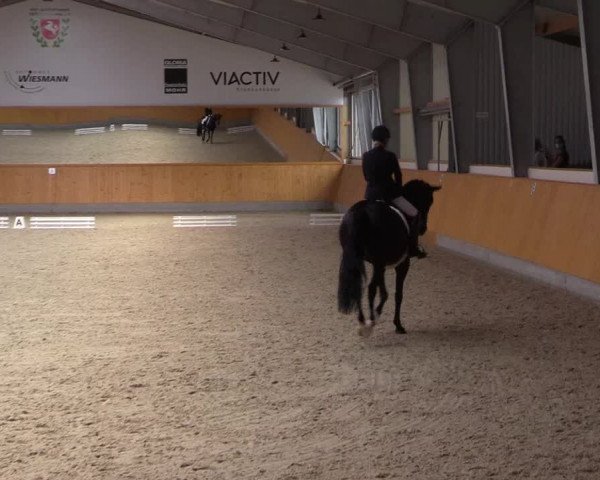 Reitturnier Münster-Amelsbüren 2021