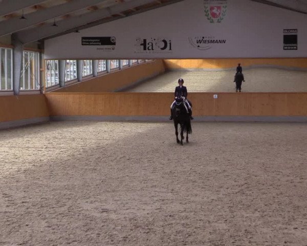 Reitturnier Münster-Amelsbüren 2021