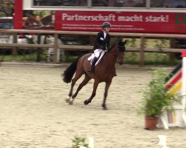 Reitturnier Münster-Amelsbüren 2021