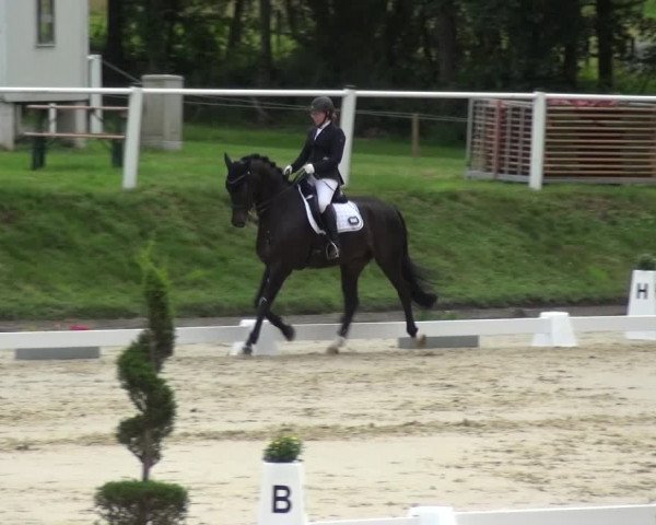 Bergisch Classics - Bergisch Gladbach - Hebborner Hof 2021