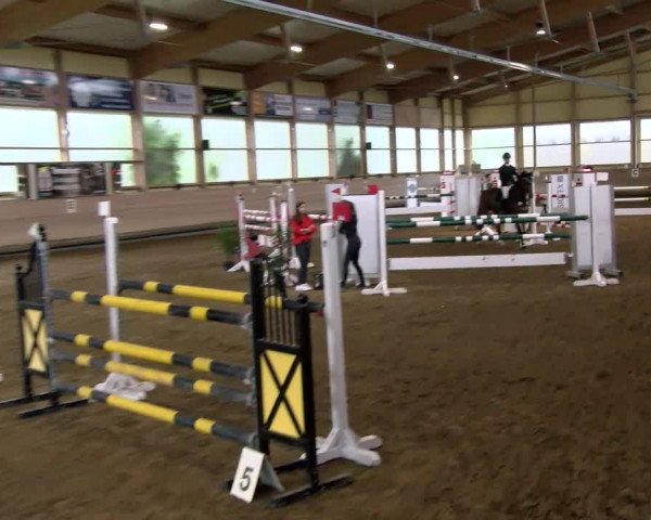 Reitturnier Biberach/Riß 2021