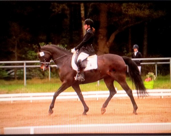 jumper Rilanda (Oldenburg, 2001, from Landor S) jumper Rilanda (Oldenburg, 2001, from Landor S)