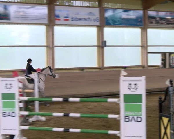 Reitturnier Biberach/Riß 2021