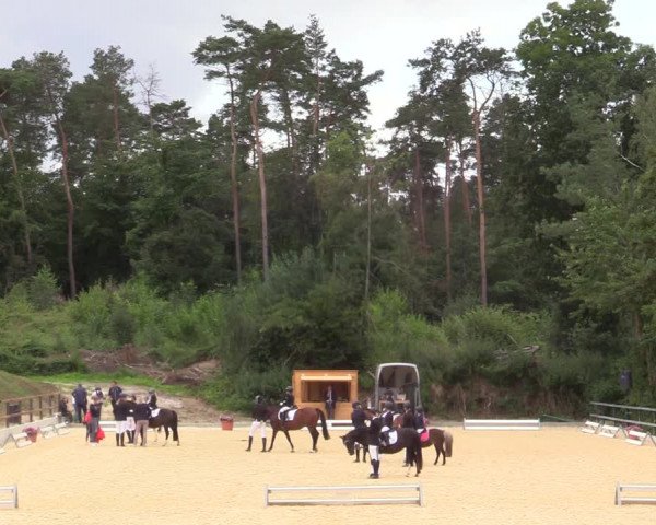 Reitturnier Iserlohn-Kalthof 2021