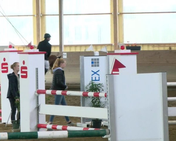 Reitturnier Biberach/Riß 2021