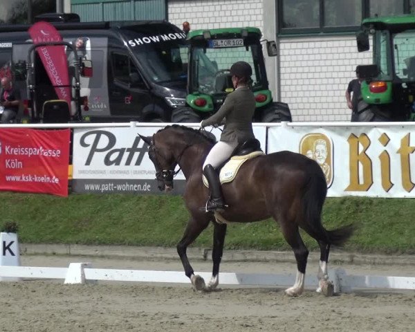 Bergisch Classics - Bergisch Gladbach - Hebborner Hof 2021