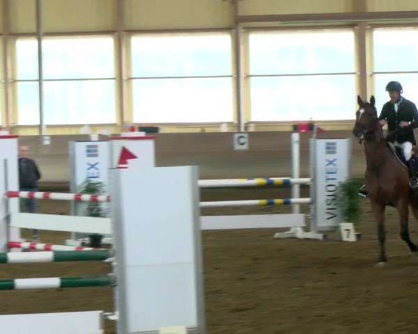 Reitturnier Biberach/Riß 2021