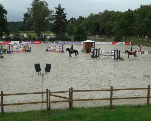 Reitturnier Westergellersen 2021