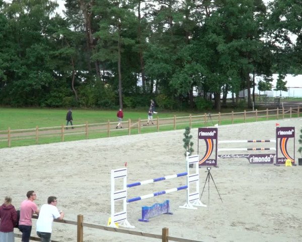 Reitturnier Westergellersen 2021