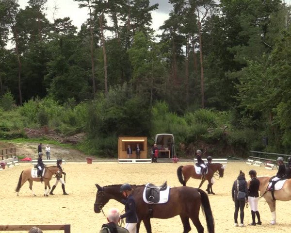 Reitturnier Iserlohn-Kalthof 2021