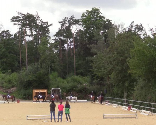 Reitturnier Iserlohn-Kalthof 2021