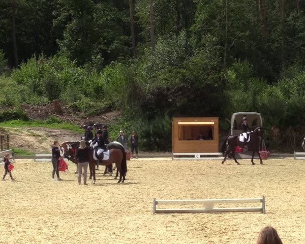 Reitturnier Iserlohn-Kalthof 2021