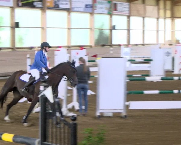 Reitturnier Biberach/Riß 2021