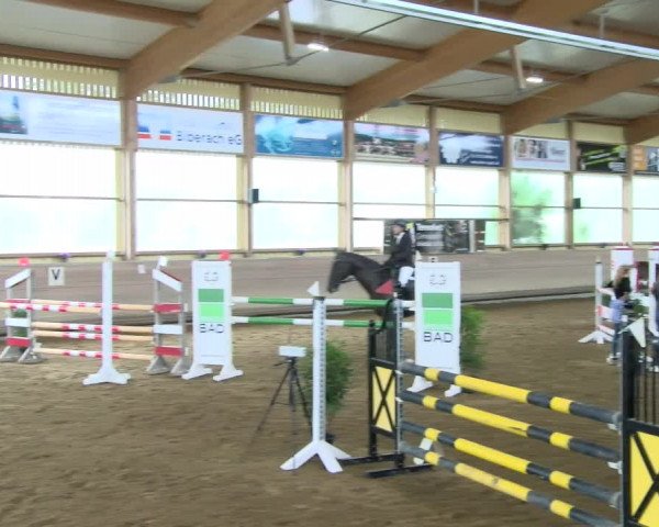 Reitturnier Biberach/Riß 2021