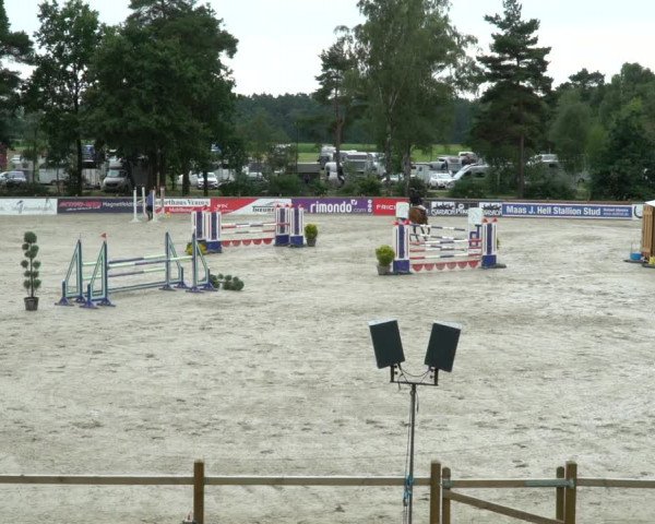 Reitturnier Westergellersen 2021