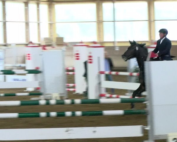 Reitturnier Biberach/Riß 2021