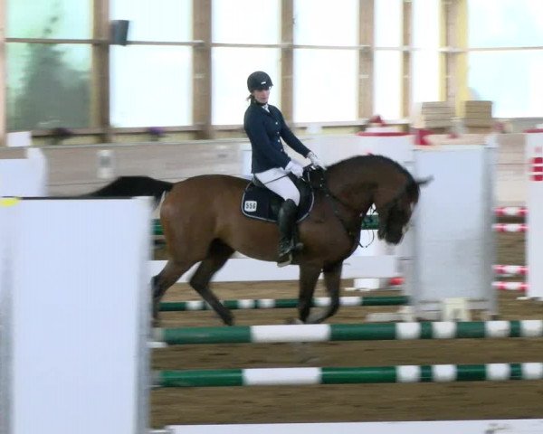 Rideturnering Biberach/Riß 2021