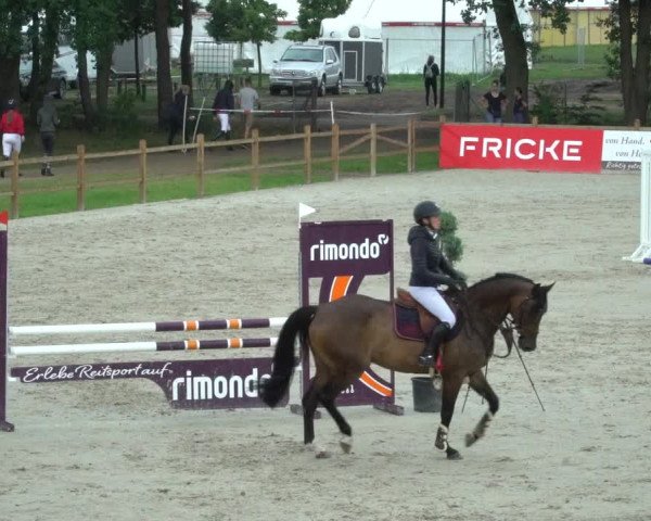 Reitturnier Westergellersen 2021