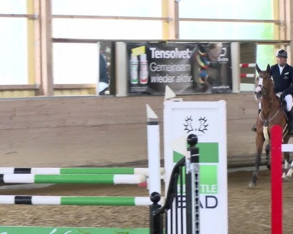Reitturnier Biberach/Riß 2021