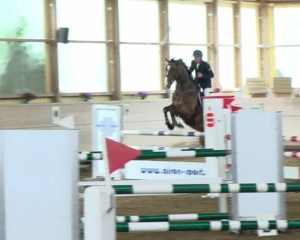 Reitturnier Biberach/Riß 2021