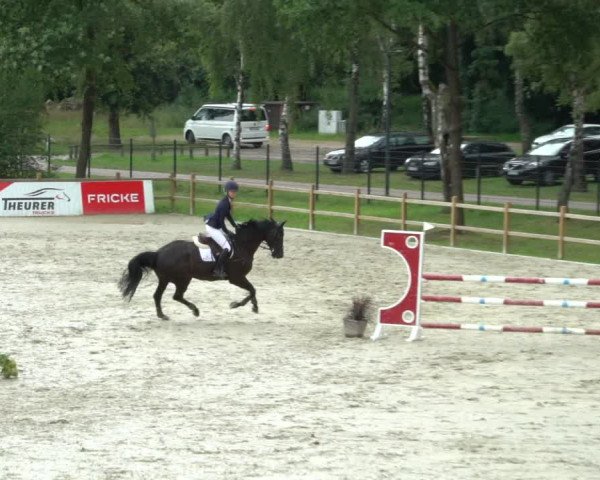 Reitturnier Westergellersen 2021