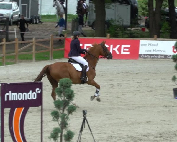 Reitturnier Westergellersen 2021