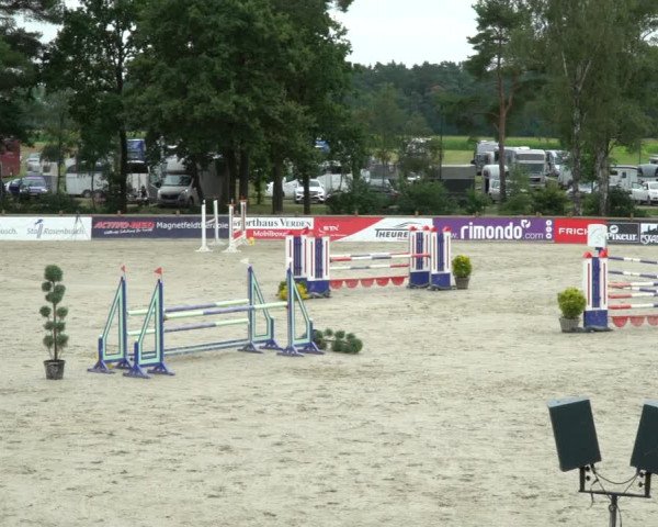 Reitturnier Westergellersen 2021