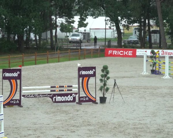 Reitturnier Westergellersen 2021