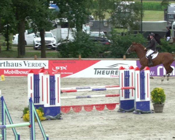 Reitturnier Westergellersen 2021