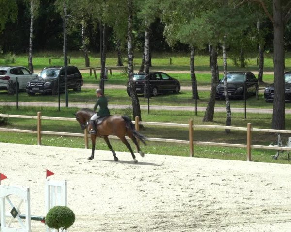Reitturnier Westergellersen 2021