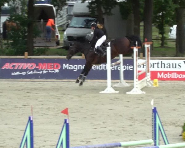 Reitturnier Westergellersen 2021