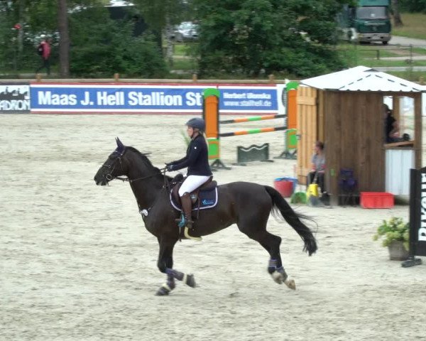 Reitturnier Westergellersen 2021