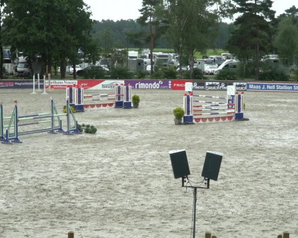Reitturnier Westergellersen 2021