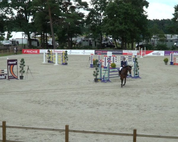 Reitturnier Westergellersen 2021