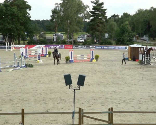 Reitturnier Westergellersen 2021