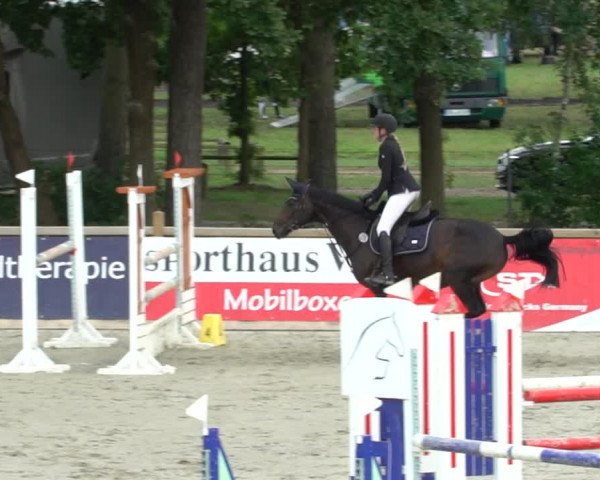 Reitturnier Westergellersen 2021