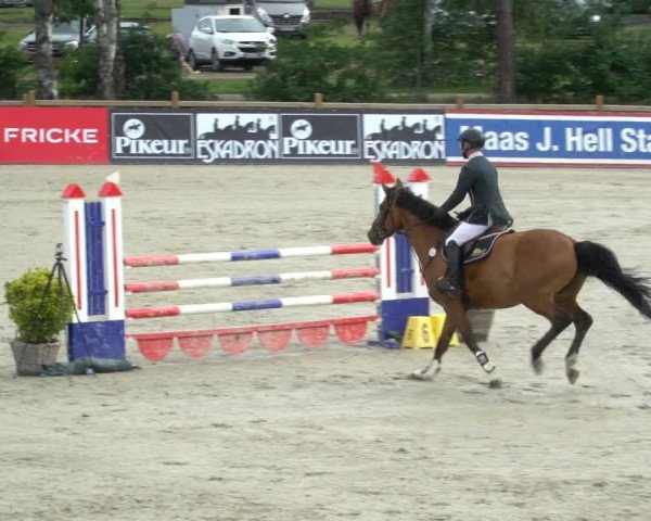 Reitturnier Westergellersen 2021