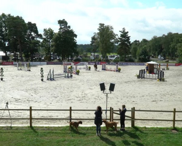 Reitturnier Westergellersen 2021