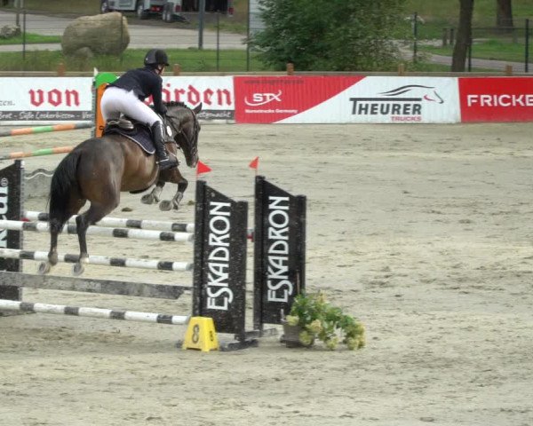 Reitturnier Westergellersen 2021