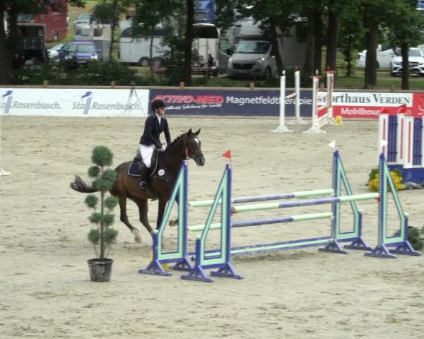 Reitturnier Westergellersen 2021