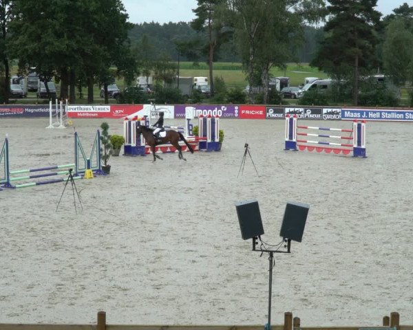 Reitturnier Westergellersen 2021