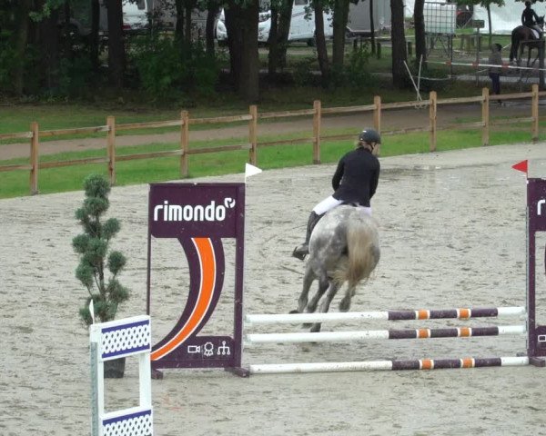 Reitturnier Westergellersen 2021