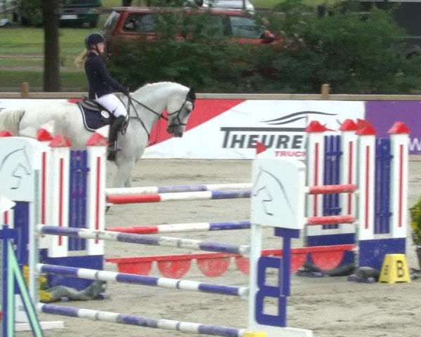 Reitturnier Westergellersen 2021