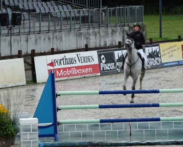 Reitturnier Westergellersen 2021