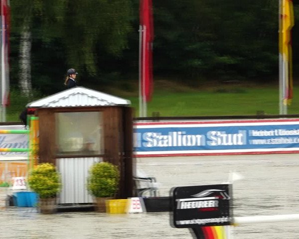 Reitturnier Westergellersen 2021